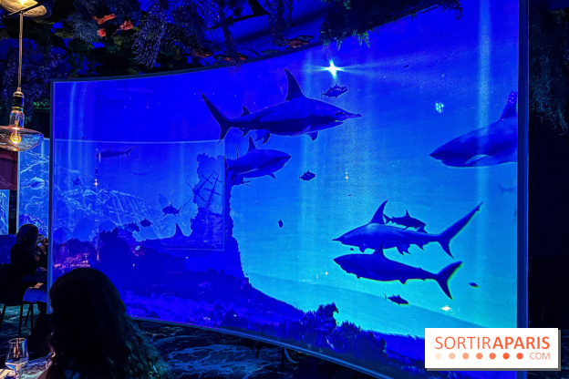 Ephemera, le premier restaurant immersif à Paris