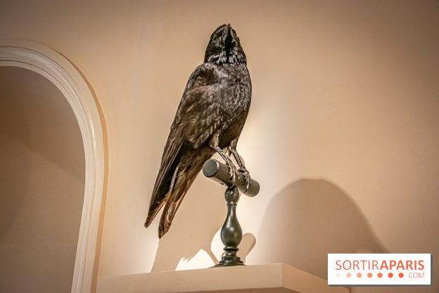 Delacroix et la nature, nos photos de l'exposition au musée Delacroix