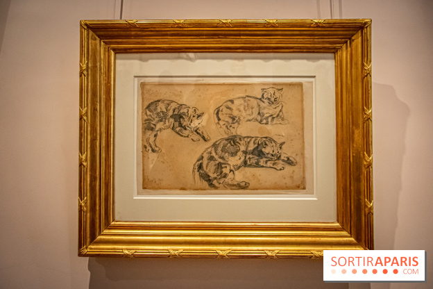 Delacroix et la nature, nos photos de l'exposition au musée Delacroix