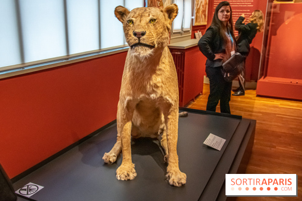Delacroix et la nature, nos photos de l'exposition au musée Delacroix