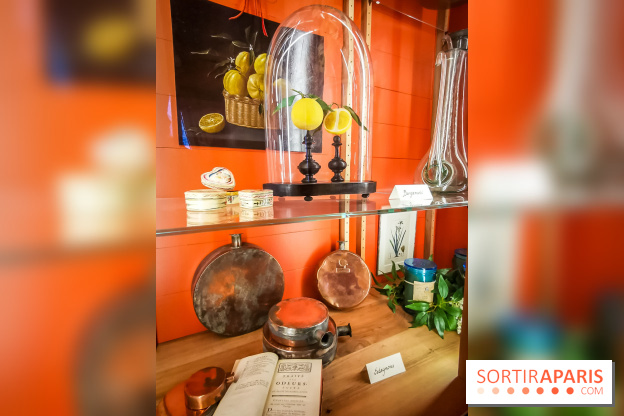 Le Musée du Parfum Fragonard : un trésor méconnu à deux pas du Palais Garnier