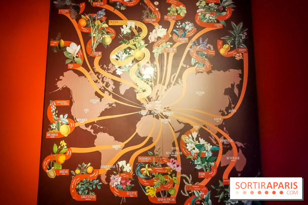 Le Musée du Parfum Fragonard : un trésor méconnu à deux pas du Palais Garnier