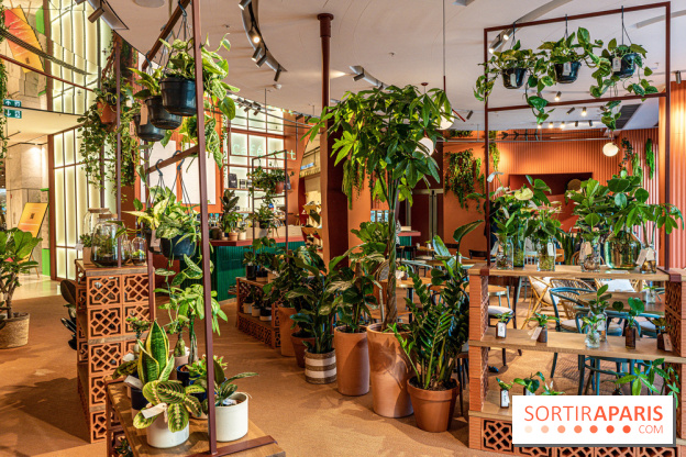 Le Café Vert du Printemps Haussmann 