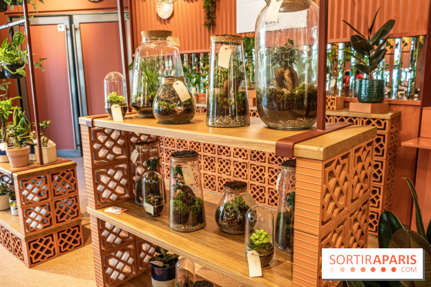 Le Café Vert du Printemps Haussmann 