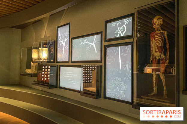 Le nouveau Musée Albert Kahn se dévoile 