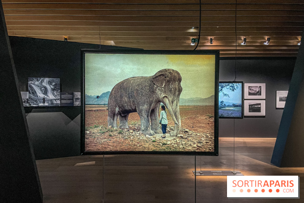 Le nouveau Musée Albert Kahn se dévoile 