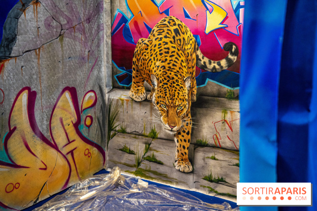 Le Colors Festival Paris 2022, les photos