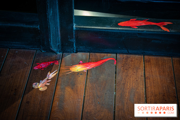 Exposition à Fluctuart, Plongée en eaux troubles - nos photos