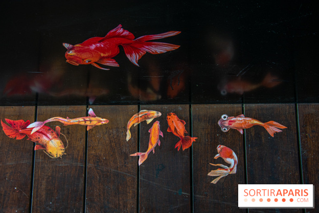 Exposition à Fluctuart, Plongée en eaux troubles - nos photos