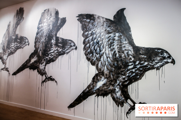 Incursions sauvages, nos photos