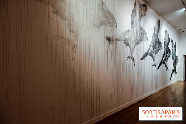 Incursions sauvages, nos photos