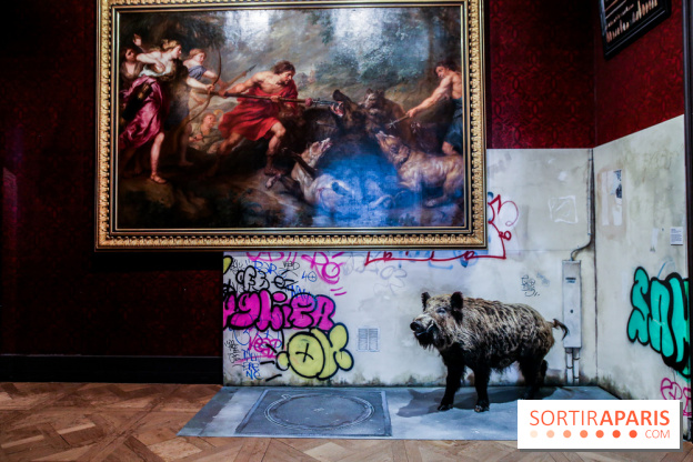 Incursions sauvages, nos photos