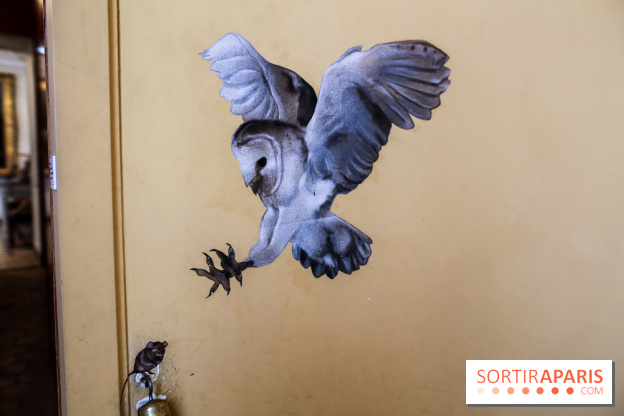 Incursions sauvages, nos photos