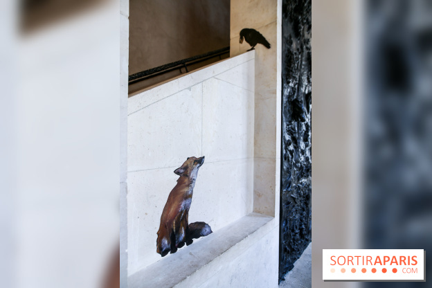 Incursions sauvages, nos photos