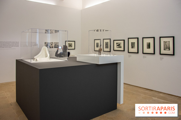 Maya Ruiz-Picasso, nos photos de l'exposition au Musée Picasso