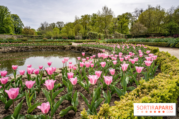 Le Château de Saint-Jean de Beauregard et son Jardin remarquable