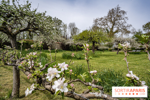 Le Château de Saint-Jean de Beauregard et son Jardin remarquable