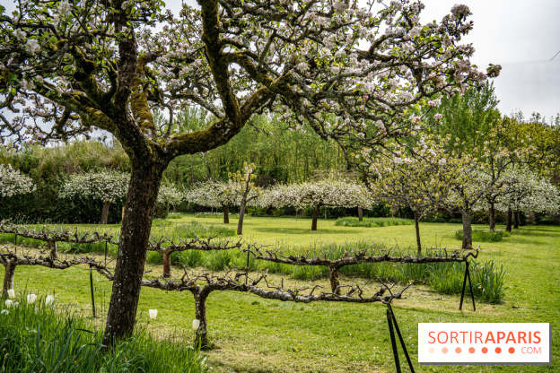Le Château de Saint-Jean de Beauregard et son Jardin remarquable