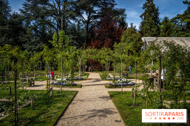 Les jardins du Musée Albert Kahn, nos photos 