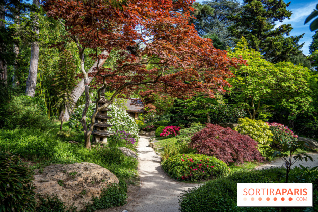 Les jardins du Musée Albert Kahn, nos photos 