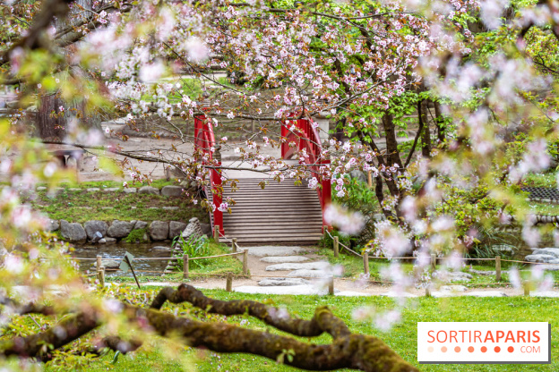 Les jardins du Musée Albert Kahn, nos photos  -  A7C8879 HDR