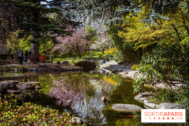 Les jardins du Musée Albert Kahn, nos photos