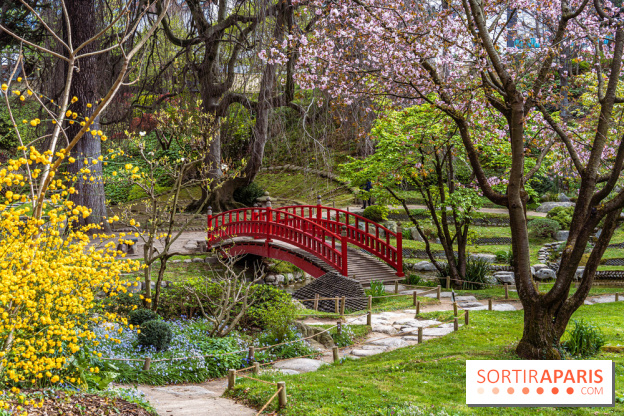 Les jardins du Musée Albert Kahn, nos photos
