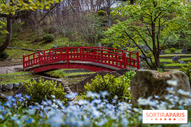 Les jardins du Musée Albert Kahn, nos photos  -  A7C8984