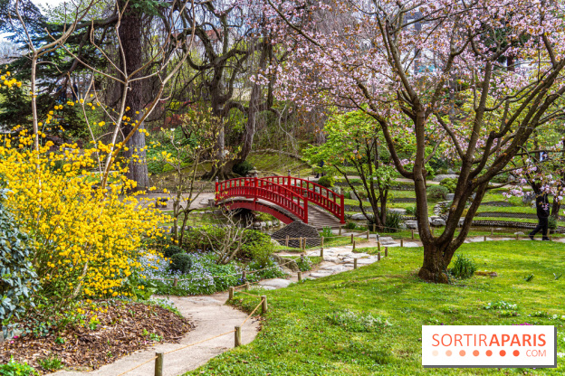 Les jardins du Musée Albert Kahn, nos photos