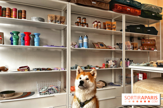 Barkers+Brothers, le concept store canin pour chouchouter son chien à Montmartre