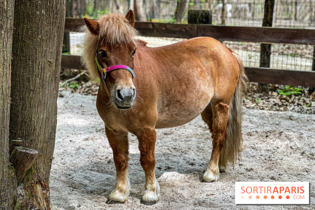Aventure Floreval, l'accrobranche canon aux portes de Paris