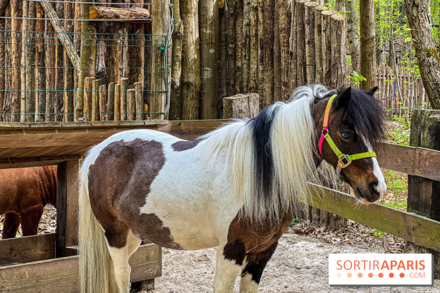 Aventure Floreval, l'accrobranche canon aux portes de Paris