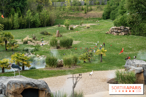 Zoo de Beauval 