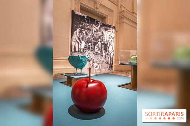 Photos exposition Histoires Naturelles, Dation François-Xavier et Claude Lalanne