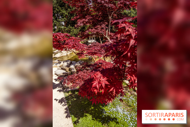 Le Jardin Japonais d'Ichikawa à Issy-les-Moulineaux