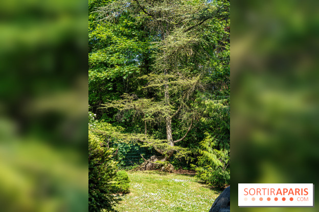 Le jardin japonais du Parc de Boulogne Edmond de Rothschild