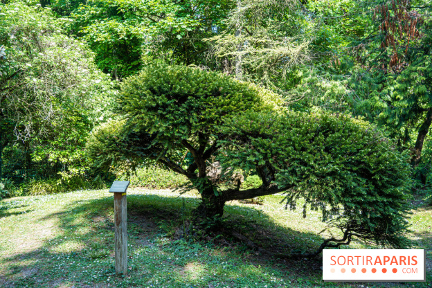 Le jardin japonais du Parc de Boulogne Edmond de Rothschild