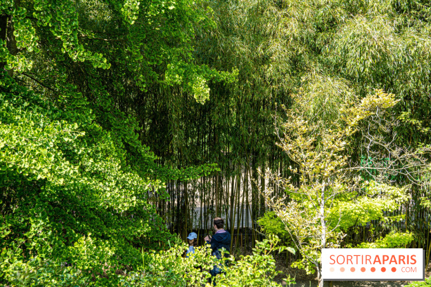 Le jardin japonais du Parc de Boulogne Edmond de Rothschild
