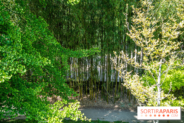 Le jardin japonais du Parc de Boulogne Edmond de Rothschild