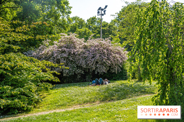 Le jardin japonais du Parc de Boulogne Edmond de Rothschild