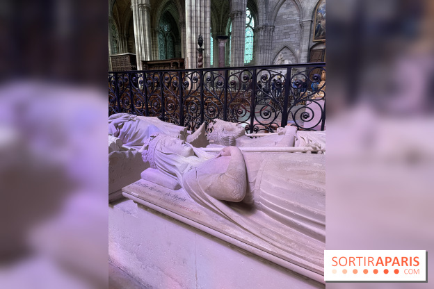 La Basilique Saint-Denis et sa nécropole royale