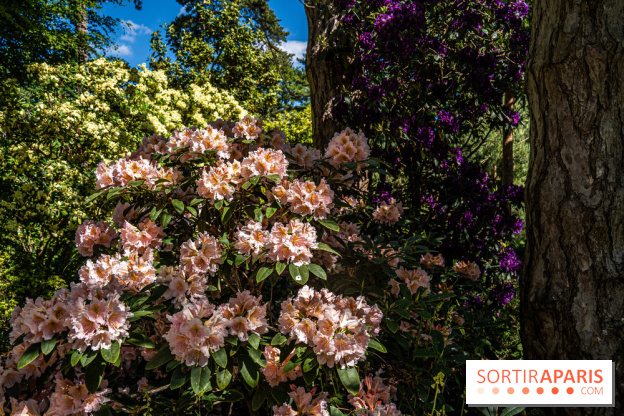 Le Parc Floral en photos 