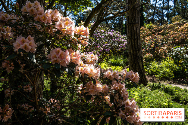 Le Parc Floral en photos 