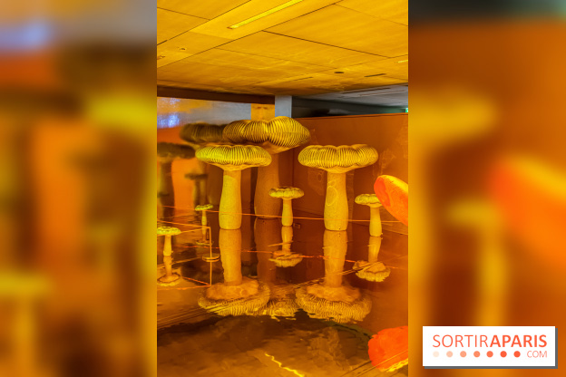 La Gaîté Lyrique présente Shiny Gold, une installation-expérience de Nelly Ben Hayoun - nos photos