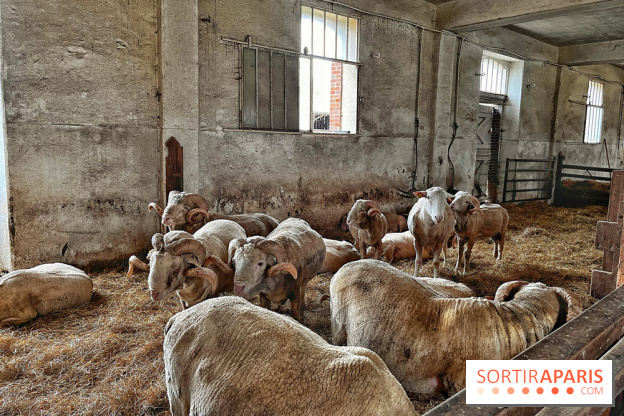 Le Château de Rambouillet et sa Bergerie nationale, un domaine d'exception en Ile-de-France