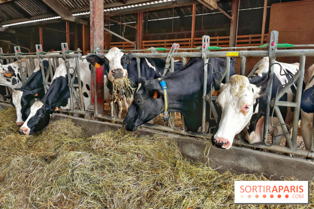 Le Château de Rambouillet et sa Bergerie nationale, un domaine d'exception en Ile-de-France