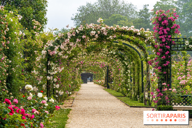 Photos : La Roseraie du val-de-Marne