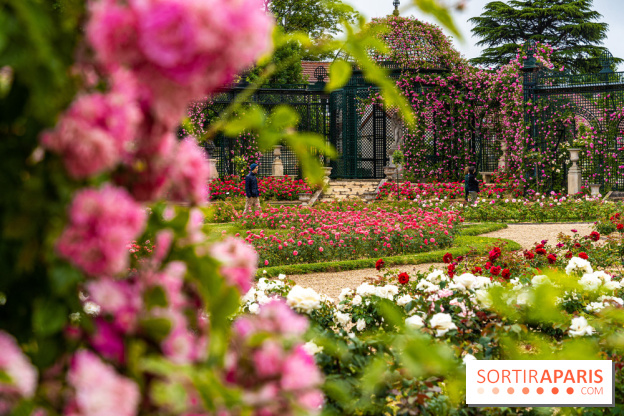 Photos : La Roseraie du val-de-Marne