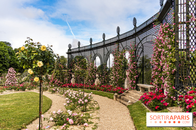 Photos : La Roseraie du val-de-Marne