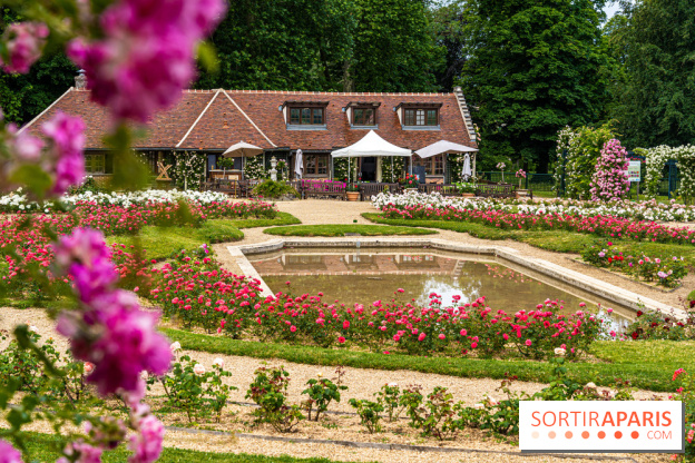 Photos : La Roseraie du val-de-Marne